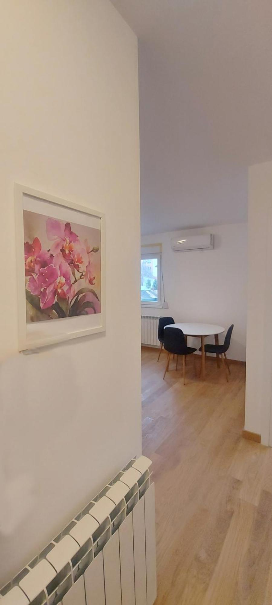 Magenta Zvezdara Lägenhet Belgrad Exteriör bild